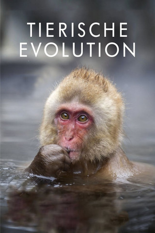 Tierische Evolution mit David Attenborough (2013)