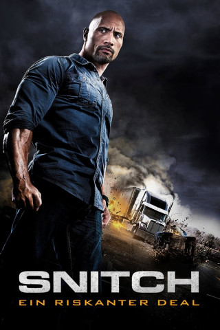 Snitch – Ein riskanter Deal (2013)
