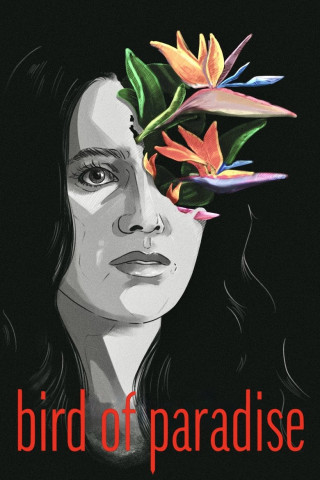 Bird Of Paradise (2024)
