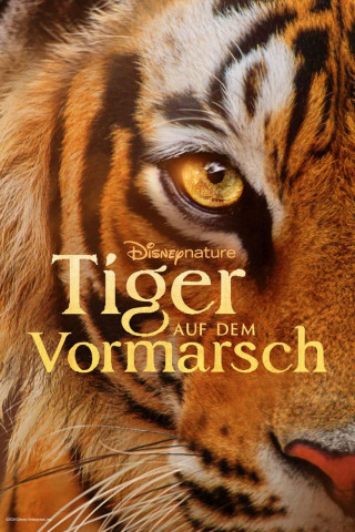 Tiger auf dem Vormarsch (2024)