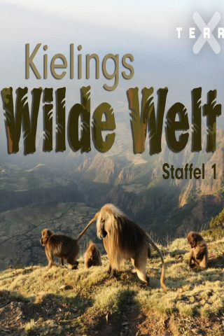 Kielings wilde Welt (2014)