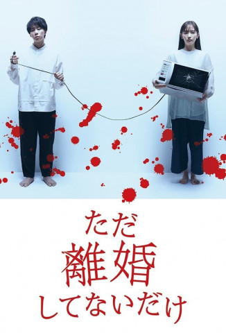 ただ離婚してないだけ (2021)