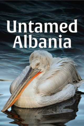 Ungezähmtes Albanien (2018)