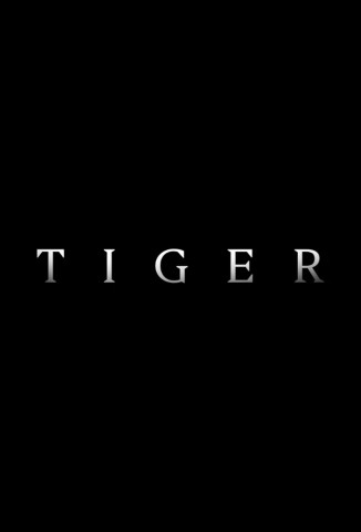 Tiger (2020)