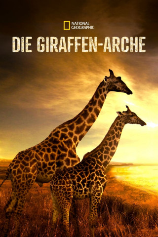 Die Giraffen-Arche (2022)