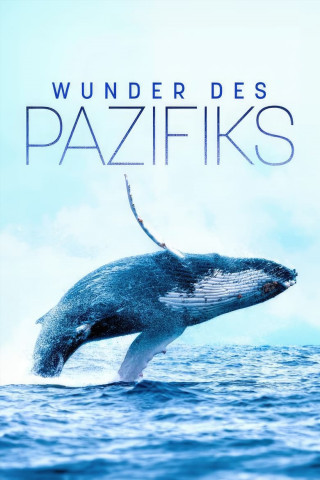 Wunder des Pazifiks (2019)