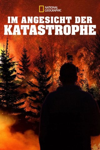 Im Angesicht der Katastrophe (2019)