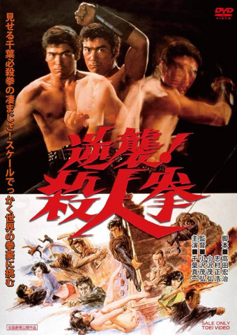 The Street Fighters Last Revenge (1974)