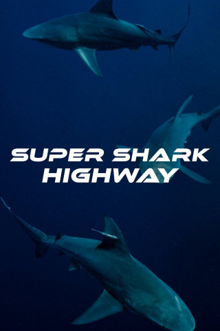 Super Hai-Highway (2025)