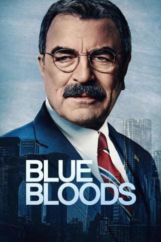 Blue Bloods: Crime Scene New York (2010)