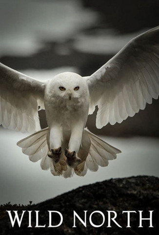 Wilder Norden (2015)