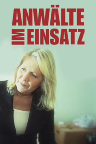 Anwälte im Einsatz (2013)