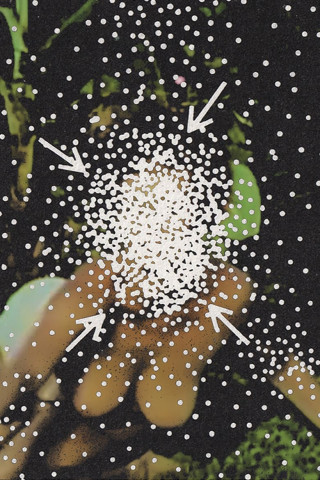 Das Geheimnis der zwei Schwestern (2016)