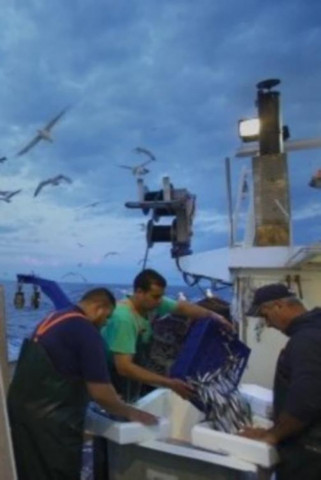 Σιγή Ιχθύος (2020)