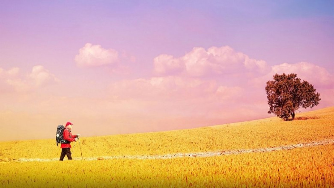 780 km zu mir (2024)