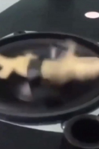 Lizzie Borden - Mord aus Verzweiflung (2018)