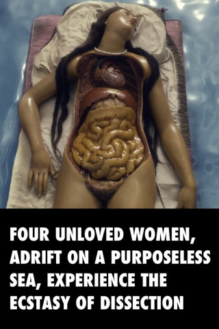 Four Unloved Women, Adrift on a Purposeless Sea, Experience the Ecstasy of Dissection (2023)