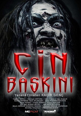Cin Baskini (2020)