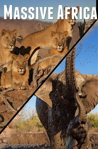 Massive Africa (2019)