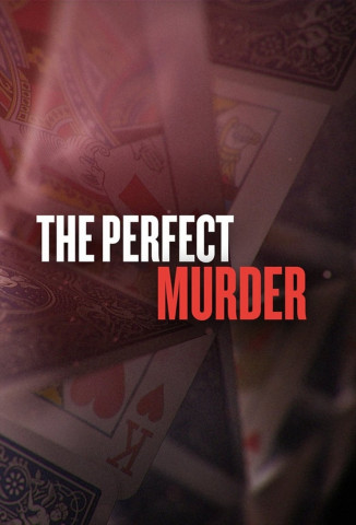 Ein perfekter Mord (2014)