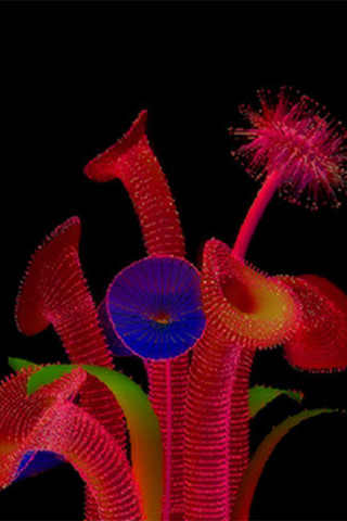 Thale - Ein dunkles Geheimnis (2012)