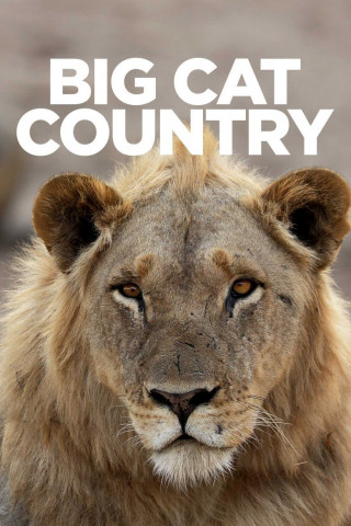 Big Cat Country (2019)
