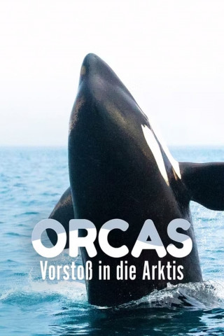 Orcas - Vorstoss in die Arktis (2014)