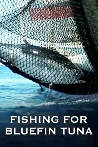 Fishing for bluefin tuna (2011)
