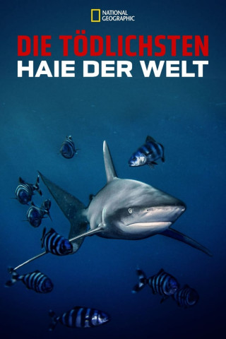 Die tödlichsten Haie der Welt (2021)