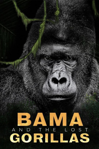 Bama, der Gorillamann - Abenteuer in Kamerun (2011)