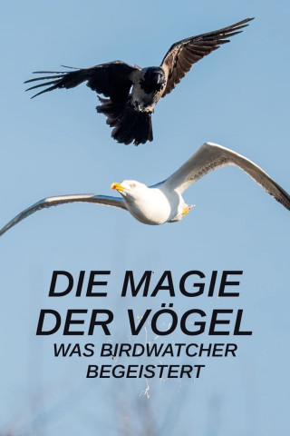 Die Magie der Vögel - Was Birdwatcher begeistert (2023)