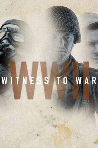 World War II: Witness to War (2017)