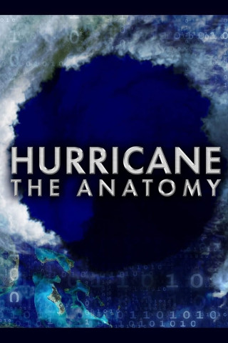 Hurricane the Anatomy (2014)