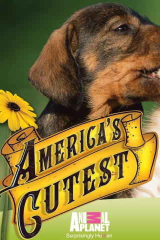America's Cutest Puppies (2007)