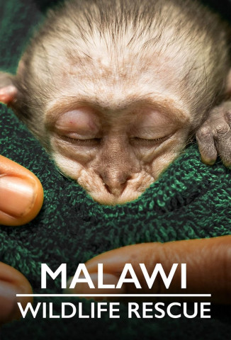 Malawi Wildlife-Rescue (2021)