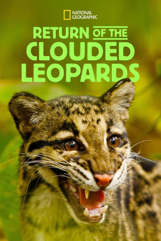 Return of the Clouded Leopards (2012)