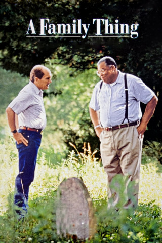 A Family Thing - Brüder wider Willen (1996)