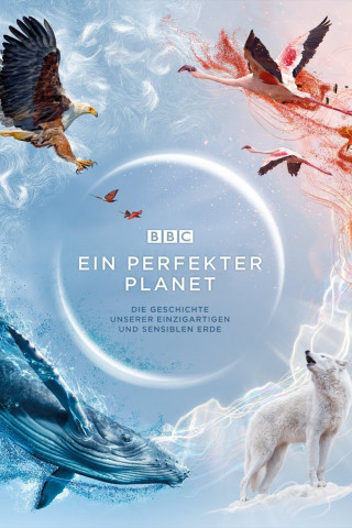 Ein perfekter Planet (2021)