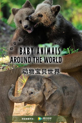 Baby Animals Around the World (2017)