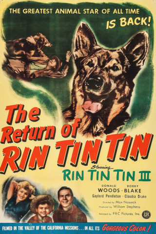 Rin Tin Tin - Die Rückkehr (1947)