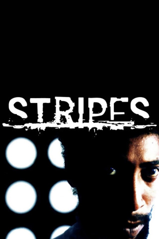 Stripes (2005)