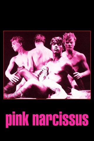 Pink Narcissus (1971)