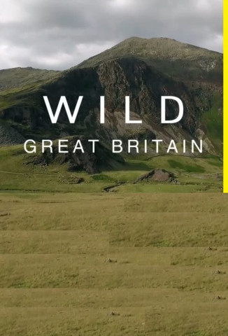 Wildes Großbritannien (2018)