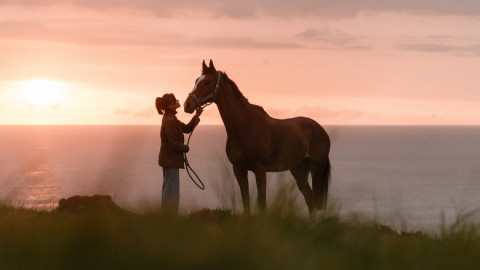 Rosamunde Pilcher: Jahrestag (2025)