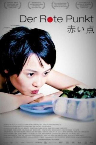 Der rote Punkt (2009)