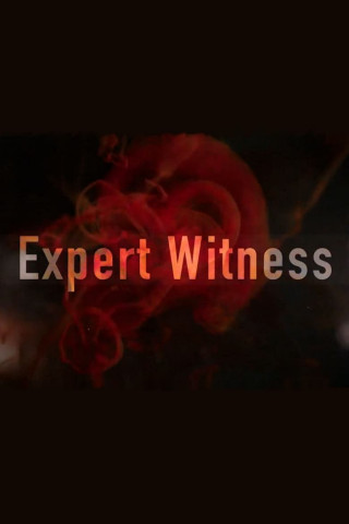 Expert Witness - Forensiker auf Spurensuche (2021)