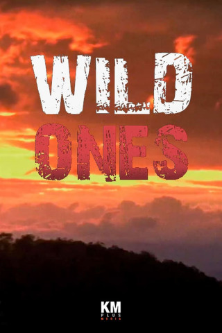 Wild Ones - Junge Helden (2014)