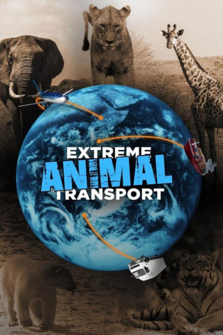 Tiertransporte XXL (2021)