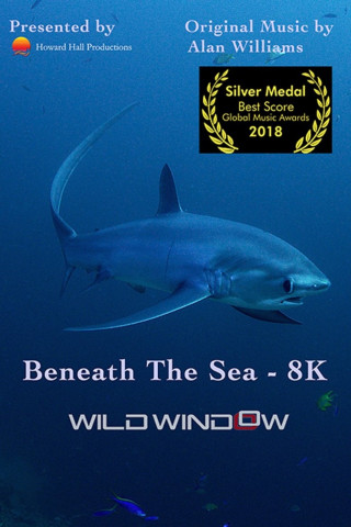 Beneath the Sea (2016)