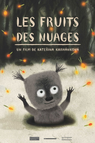 Fruits of Clouds (2017)